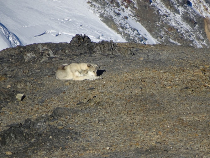 Кармадон. Казбек с севера в сентябре. (Горный туризм)