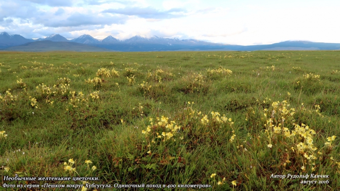 День 18. «Любопытство кошку сгубило. Ночлег с ведьмами на шаманской горе». (Путешествия, Рудольф Кавчик, хубсугул, монголия, поход, вокруг, маршрут, озеро, тропа)