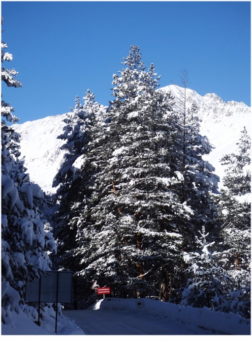 Приэльбрусье, которое любят все. (Путешествия)