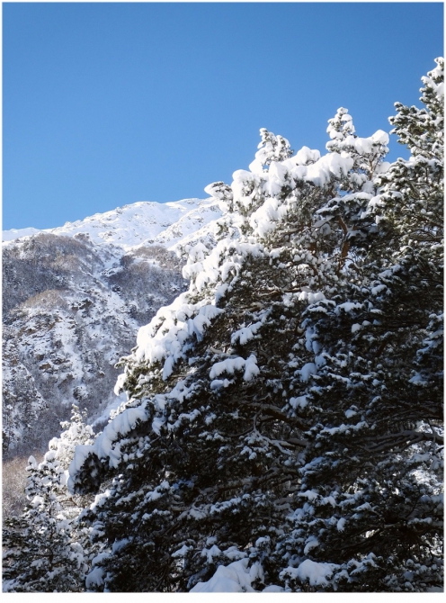 Приэльбрусье, которое любят все. (Путешествия)