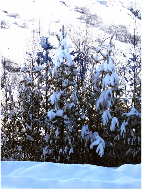 Приэльбрусье, которое любят все. (Путешествия)