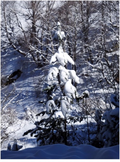 Приэльбрусье, которое любят все. (Путешествия)