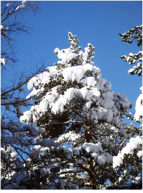 Приэльбрусье, которое любят все. (Путешествия)