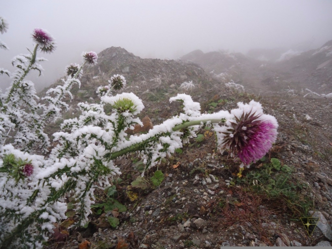 Тырныаузский горно-обогатительный комбинат (Часть 1, Путешествия, заброшенные шахты)