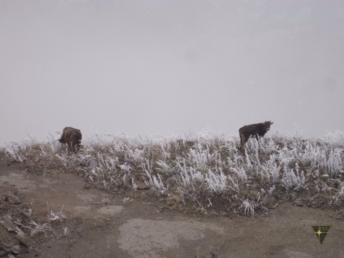 Тырныаузский горно-обогатительный комбинат (Часть 1, Путешествия, заброшенные шахты)