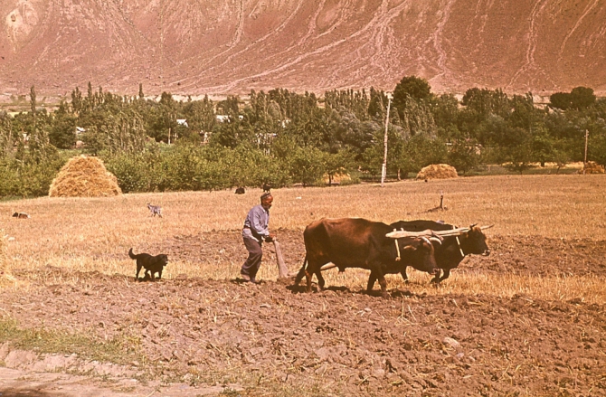 Ретро-экскурс. Из архива чемпиона СССР в классе траверсов м.с. Старосельца Е. В. (Альпинизм)