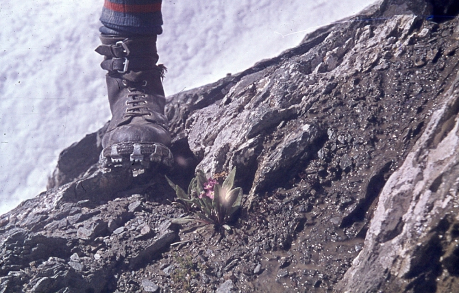 Ретро-экскурс. Из архива чемпиона СССР в классе траверсов м.с. Старосельца Е. В. (Альпинизм)