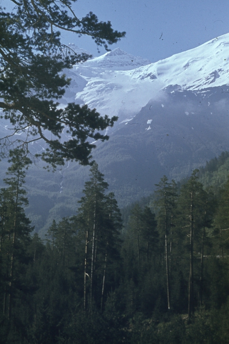 Ретро-экскурс. Из архива чемпиона СССР в классе траверсов м.с. Старосельца Е. В. (Альпинизм)