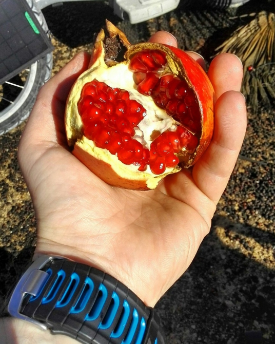 Бегом из Валенсии в Малагу! (Путешествия)