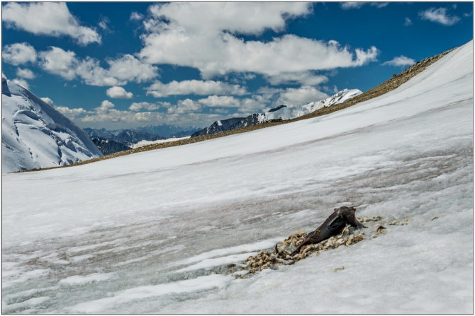 Перезимовать лето... Фотоотчёт (много картинок, мало текста, Горный туризм)