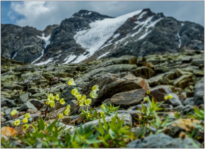 Перезимовать лето... Фотоотчёт (много картинок, мало текста, Горный туризм)