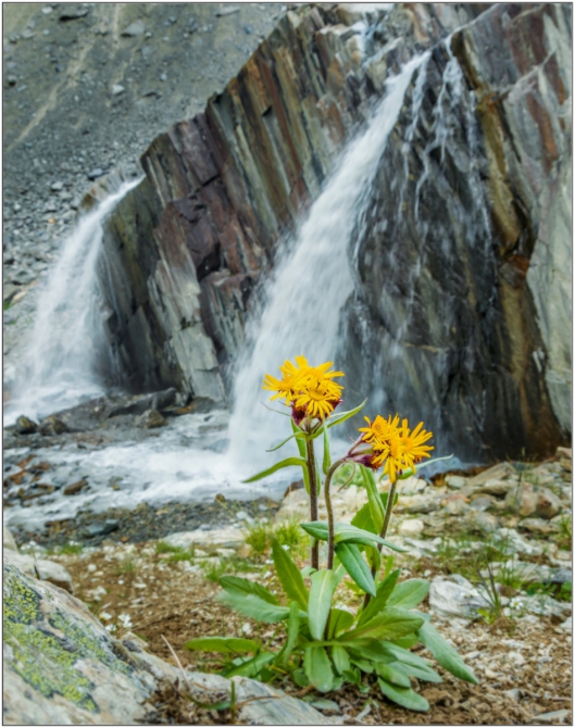 Перезимовать лето... Фотоотчёт (много картинок, мало текста, Горный туризм)
