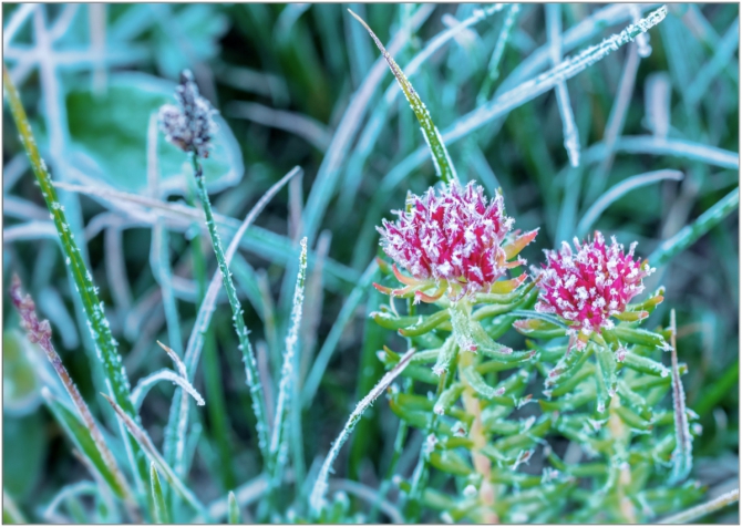 Перезимовать лето... Фотоотчёт (много картинок, мало текста, Горный туризм)