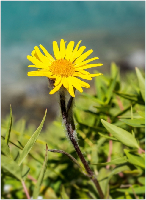 Перезимовать лето... Фотоотчёт (много картинок, мало текста, Горный туризм)