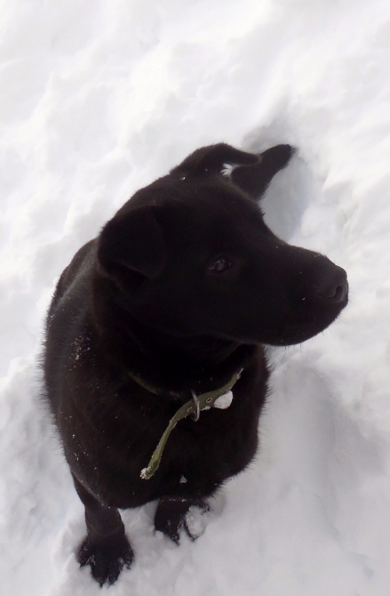 Катаракта. Анатомия приключения (Ледолазание/drytoolling)