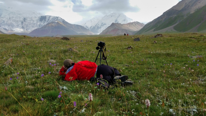 Пик Ленина. Какие ошибки не стоит делать, чтобы подняться на вершину, и немного красивых фотографий. (Альпинизм)