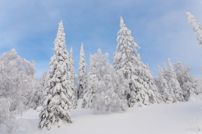 Занимательное Китоведение (Путешествия, лыжный туризм, южный урал, Хребет Нары)