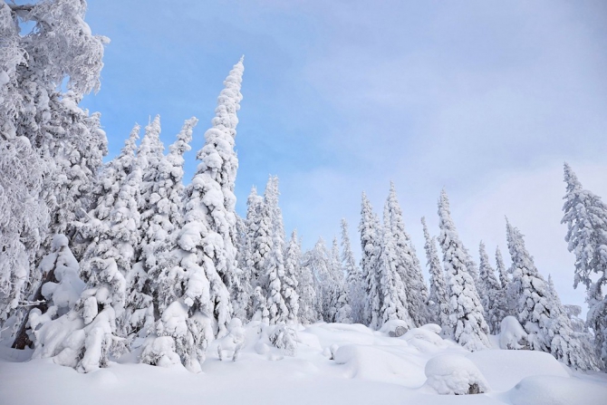 Занимательное Китоведение (Путешествия, лыжный туризм, южный урал, Хребет Нары)