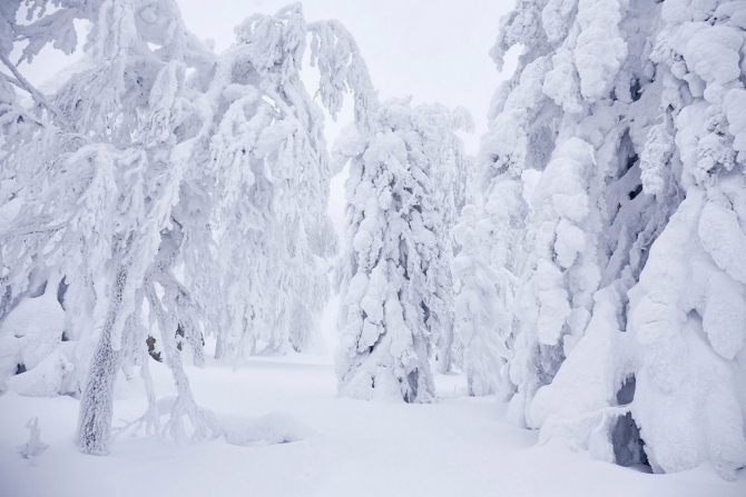 Занимательное Китоведение (Путешествия, лыжный туризм, южный урал, Хребет Нары)