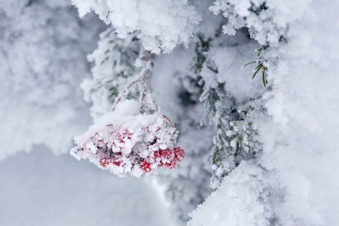 Занимательное Китоведение (Путешествия, лыжный туризм, южный урал, Хребет Нары)