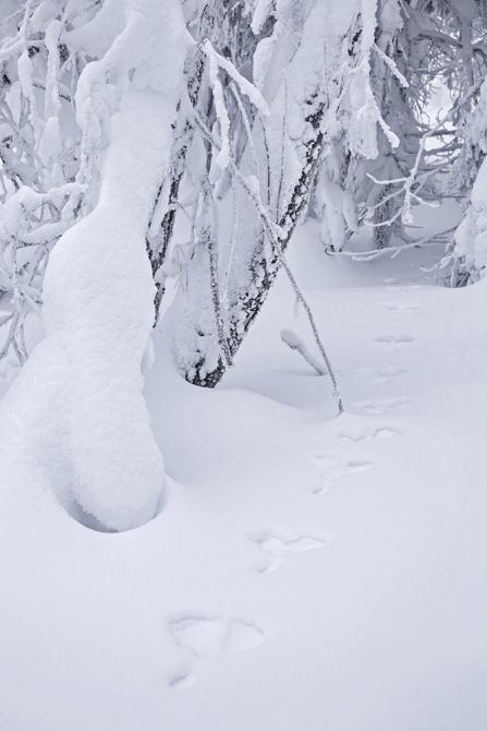 Занимательное Китоведение (Путешествия, лыжный туризм, южный урал, Хребет Нары)