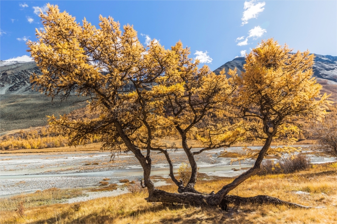 Голубое озеро_ Алтай_2016_сентябрь_фотоотчёт (много фото, Горный туризм)