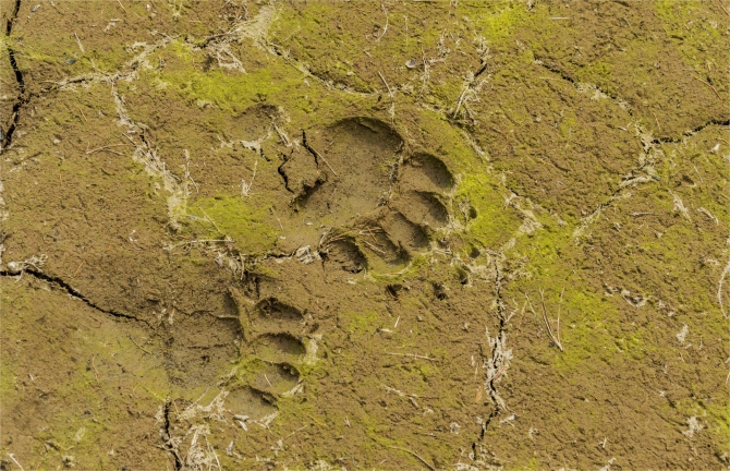 Голубое озеро_ Алтай_2016_сентябрь_фотоотчёт (много фото, Горный туризм)