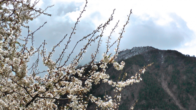 Приэльбрусье и его главная гора. Много фоток , Альпинизм)