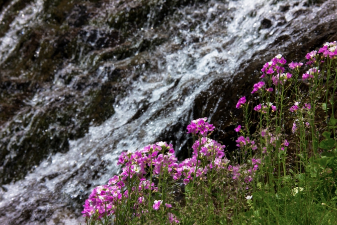 Приэльбрусье и его главная гора. Много фоток , Альпинизм)