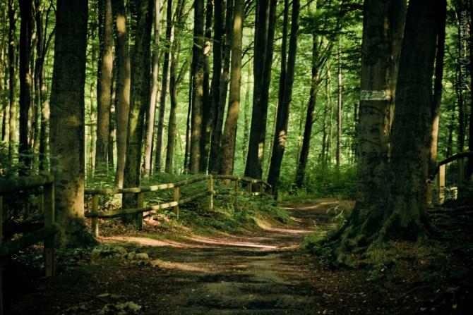 Соло вело трип по шенгенской Европе № 4 (велосипед, вело путешествие, гостеприимство)