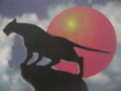 Нужно идти вперёд. (Альпинизм, Для всех .)