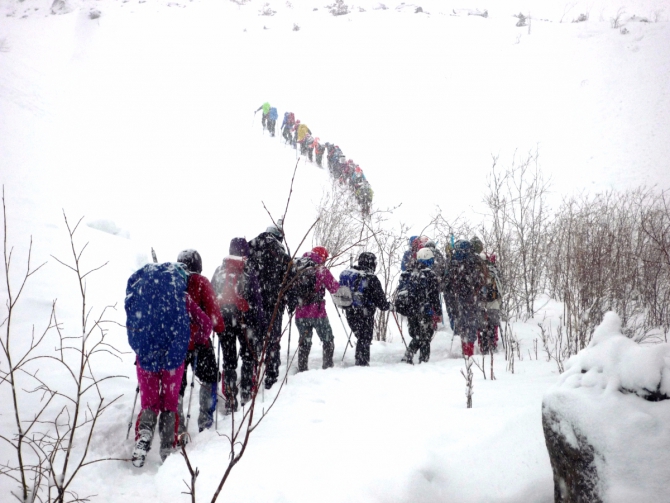 Ущелье Актру, май 2016. Запоздалый алтайский отчет (Альпинизм)