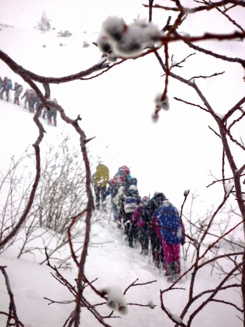 Ущелье Актру, май 2016. Запоздалый алтайский отчет (Альпинизм)