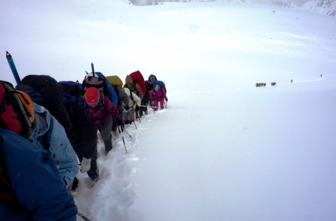 Ущелье Актру, май 2016. Запоздалый алтайский отчет (Альпинизм)