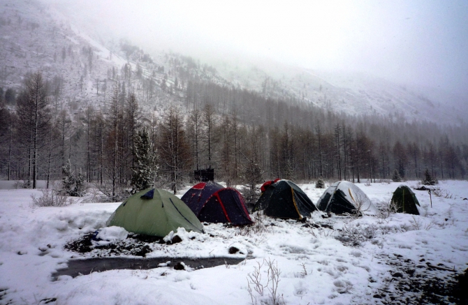 Ущелье Актру, май 2016. Запоздалый алтайский отчет (Альпинизм)
