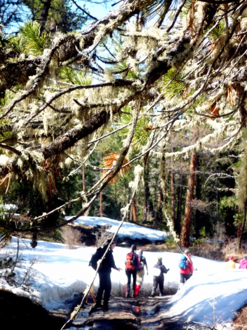 Ущелье Актру, май 2016. Запоздалый алтайский отчет (Альпинизм)
