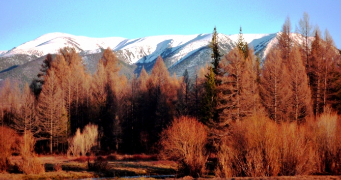 Ущелье Актру, май 2016. Запоздалый алтайский отчет (Альпинизм)