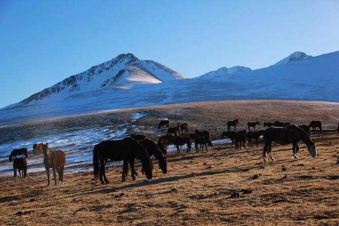 Как мы сходили на НГ 2017 в поход на Кавказ. Много фото. (Горный туризм)