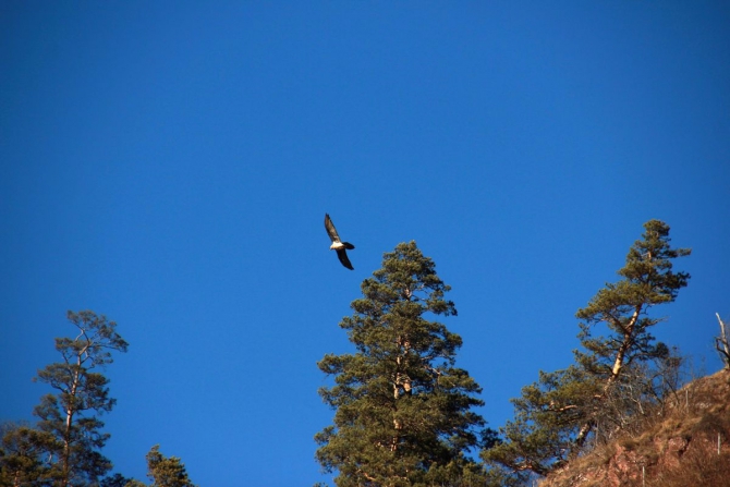 Как мы сходили на НГ 2017 в поход на Кавказ. Много фото. (Горный туризм)