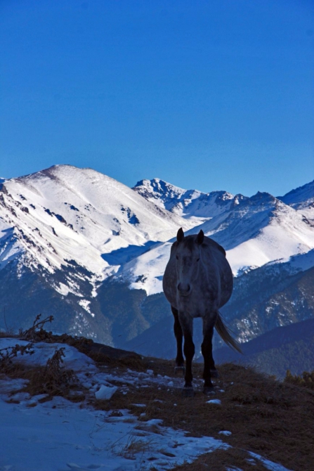 Как мы сходили на НГ 2017 в поход на Кавказ. Много фото. (Горный туризм)