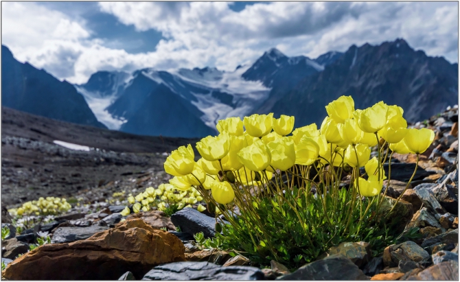 Жумар, жумарить... (территория детства, лирика...)