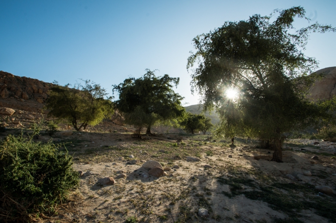 Треккинг и каньонинг в Иордании. Wadi Hasa. Самый длинный пешеходный каньон (Горный туризм)