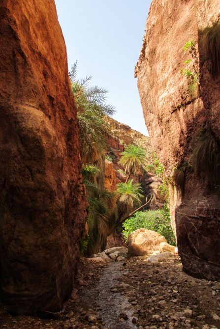 Треккинг и каньонинг в Иордании. Wadi Hasa. Самый длинный пешеходный каньон (Горный туризм)