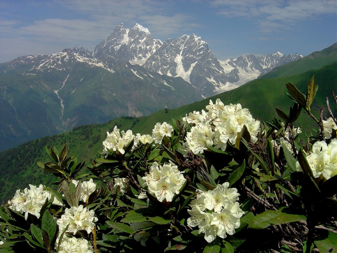 Фотоальбом видов Ушбы (Горный туризм)