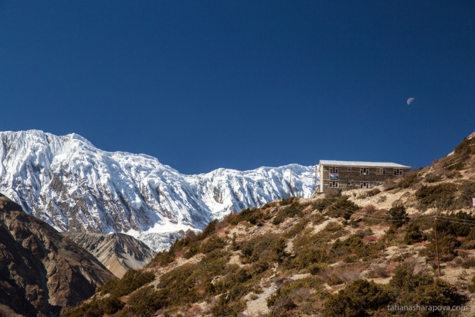 Треккинг в долине Нар-Пху + озеро Тиличо. Непал. (Горный туризм, трекккинг, горы, гималаи)