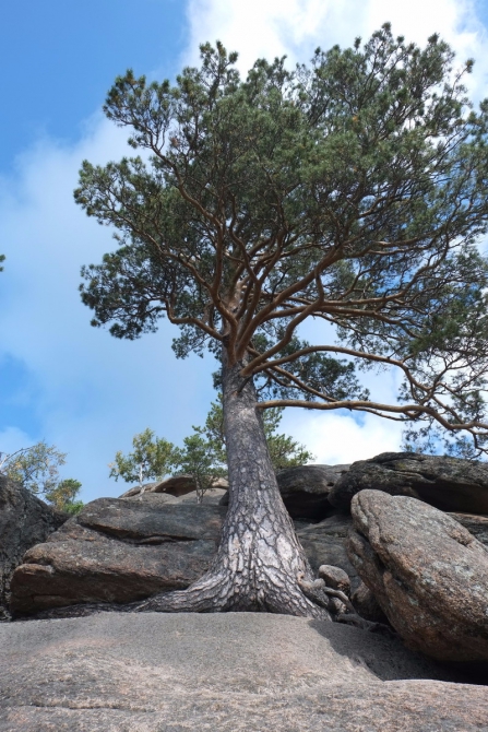 Безопасность на скалах. Первый Столб "Перепробивка". (Скалолазание, венто, Petzel, фар, терехин василий, пробивка скал, реболтинг, Певый столб)