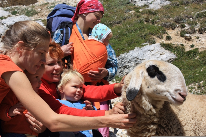 Немного лета или малыши в горах Италии (Путешествия, детский туризм, маи, италия, доломиты, альпы, тироль, лаваредо)