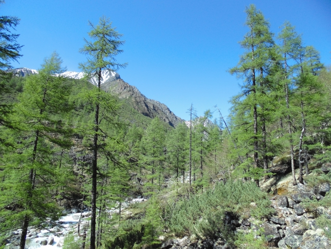 Поход на Чарские Пески и Среднесакуканский хребет (массив Кодар) в июне 2016 года (Туризм, средний сакукан, Борлаг)