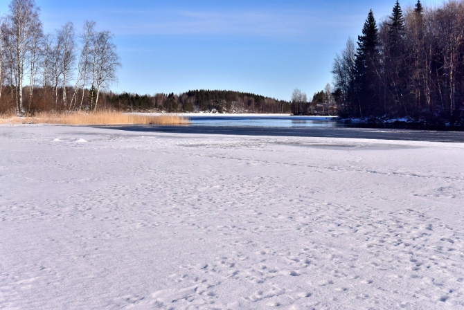 На коньках по Ладоге (Туризм, ладога, коньки, зимний туризм, карелия, ленинградская область)
