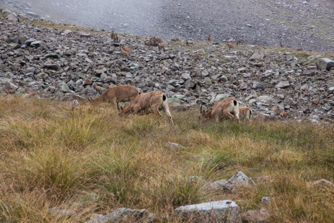 Пара кадров Приэльбрусья. Сентябрь 2016. (кавказ, приэльбрусье)